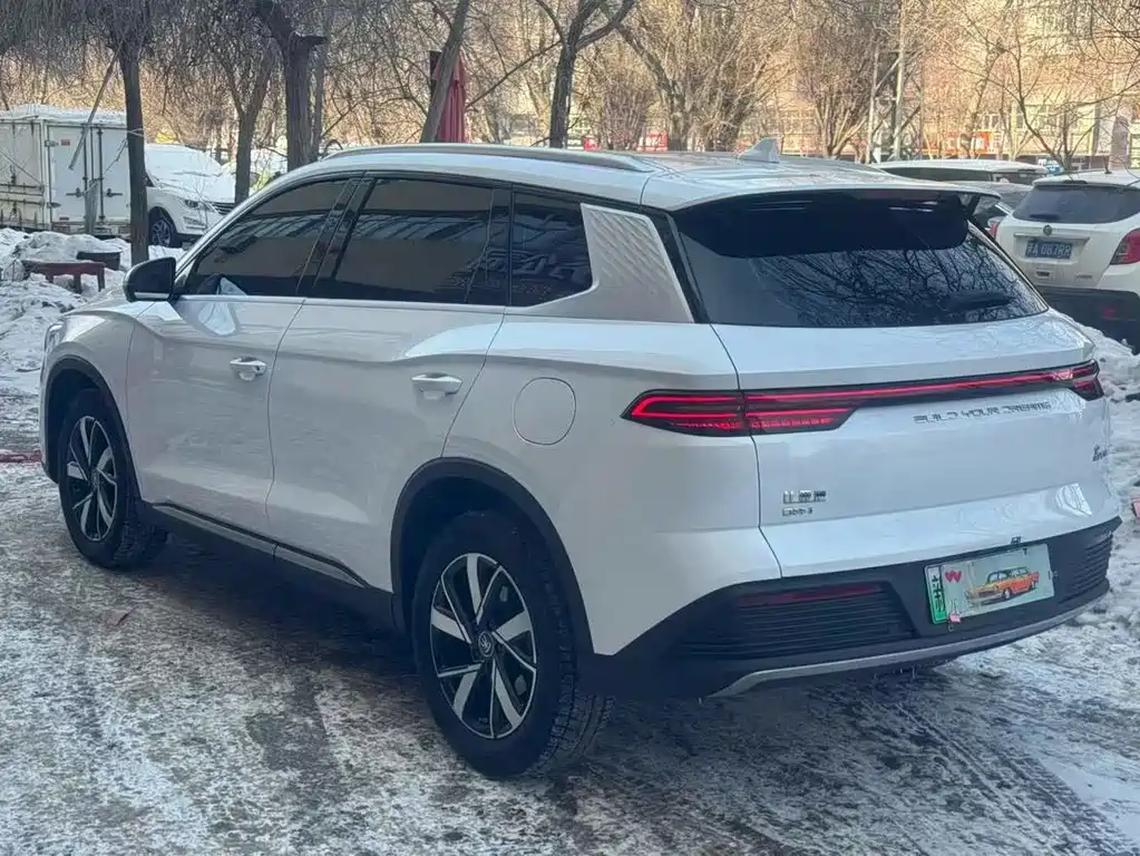 BYD SONGJIANG NEW ENERGY