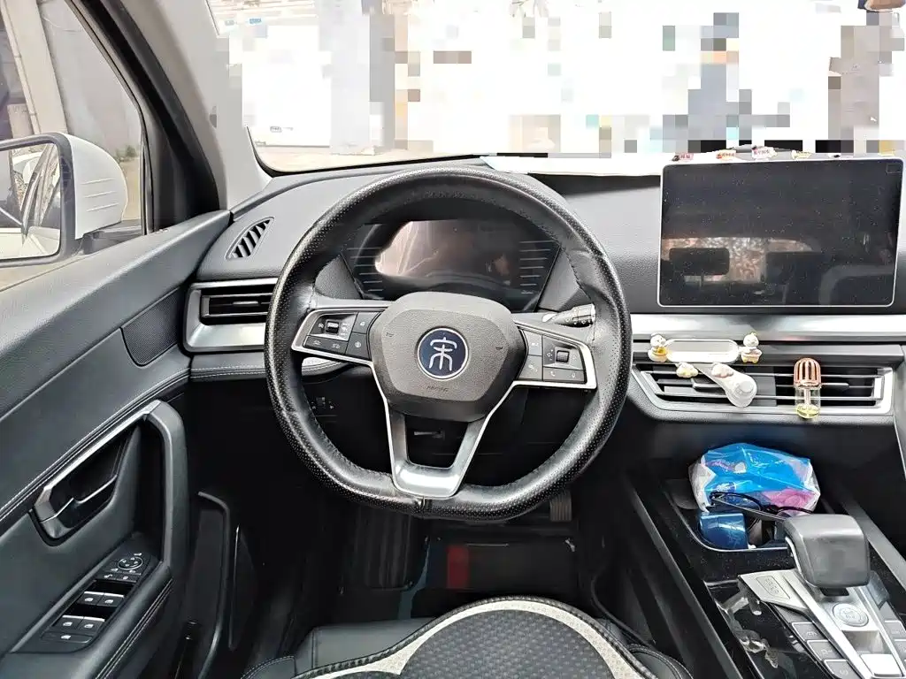 BYD Pro — миниатюра 11