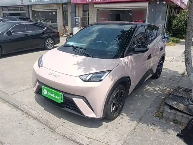 2024 BYD Seagull