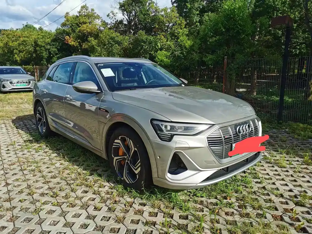 Audi e-tron — миниатюра 2