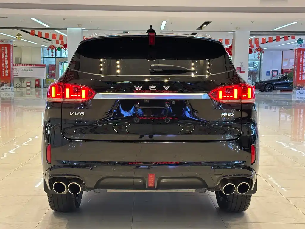 Wey Wey VV6 — миниатюра 8