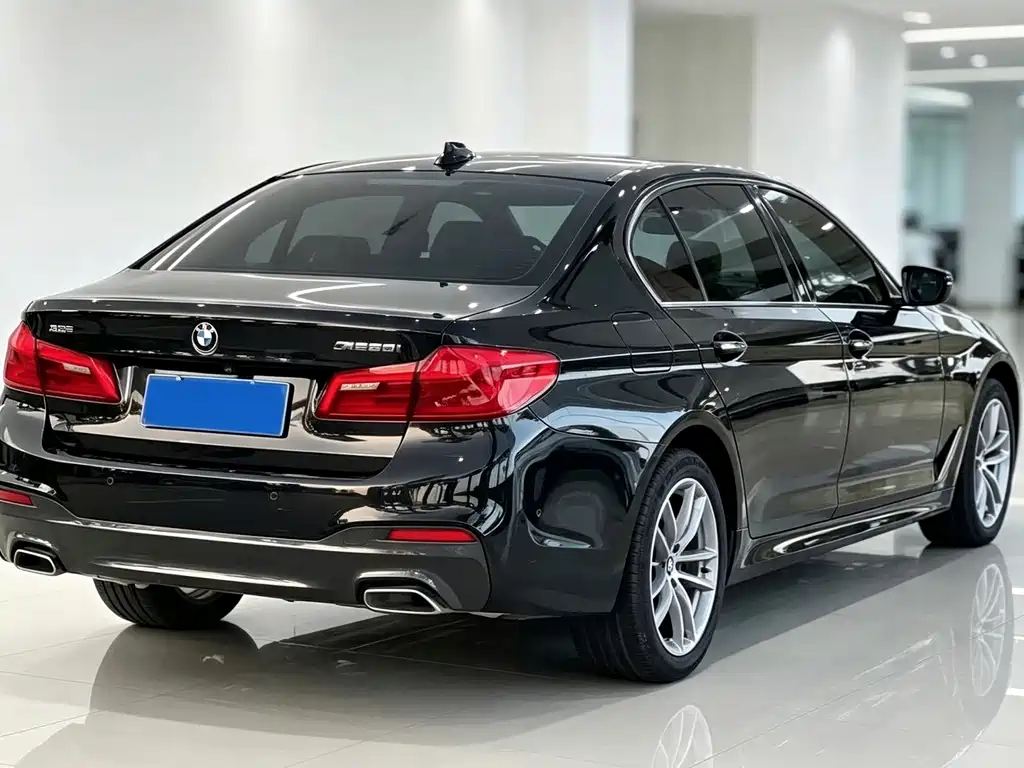 BMW 5 Series — миниатюра 6