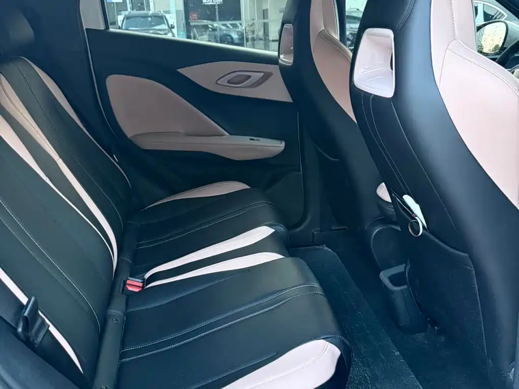 BYD Seagull 2024 305km