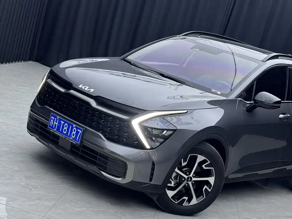 KIA LION PLATINUM EXPANDS THE WORLD