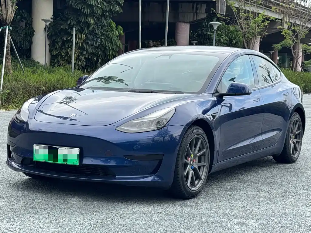 Tesla Model 3 2021