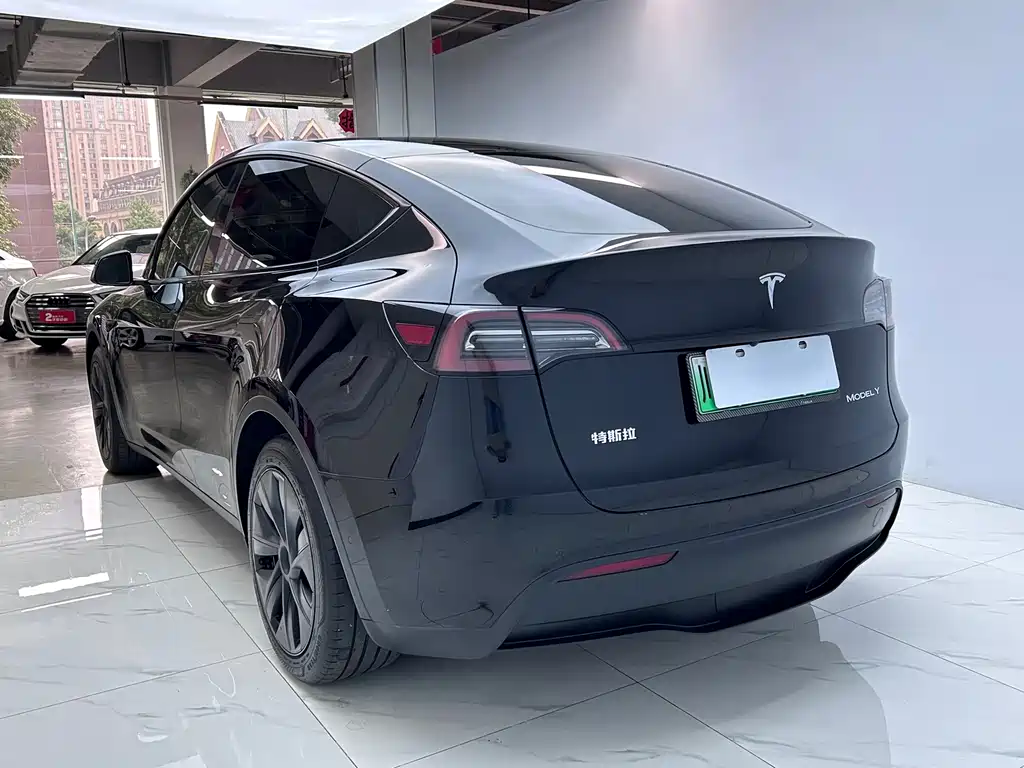 Tesla Model Y — миниатюра 5
