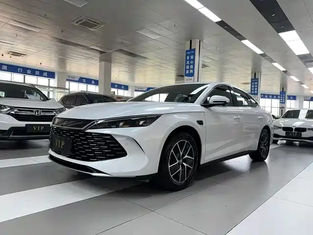 BYD QIN L 2025