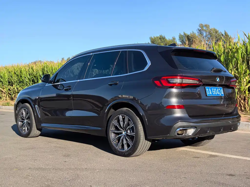 BMW X5 — миниатюра 6