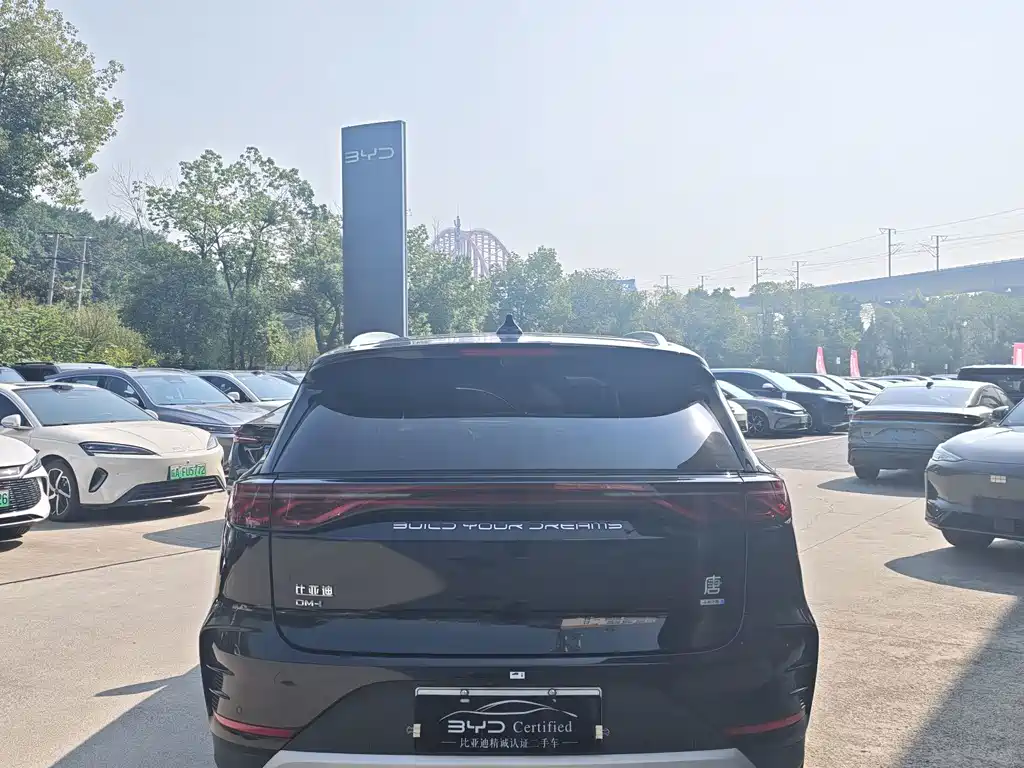 BYD Tang New Energy — миниатюра 5