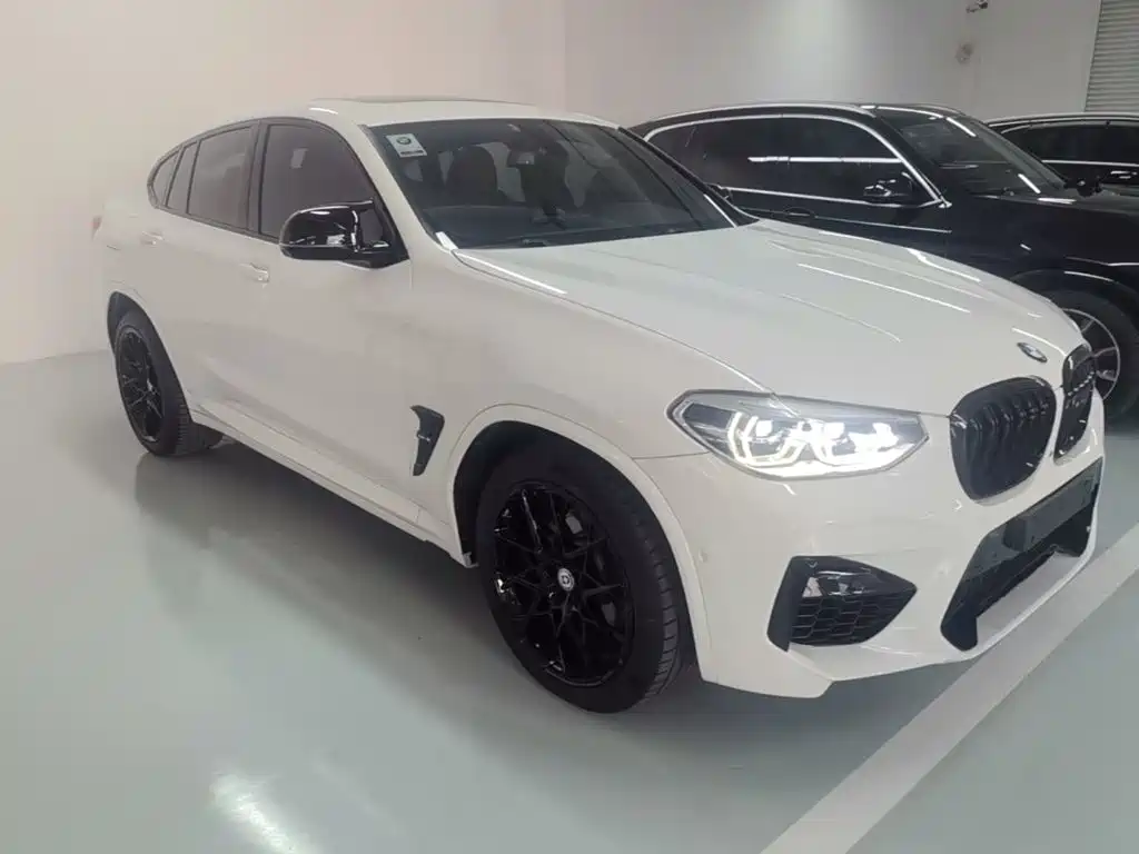 BMW X4 — миниатюра 4