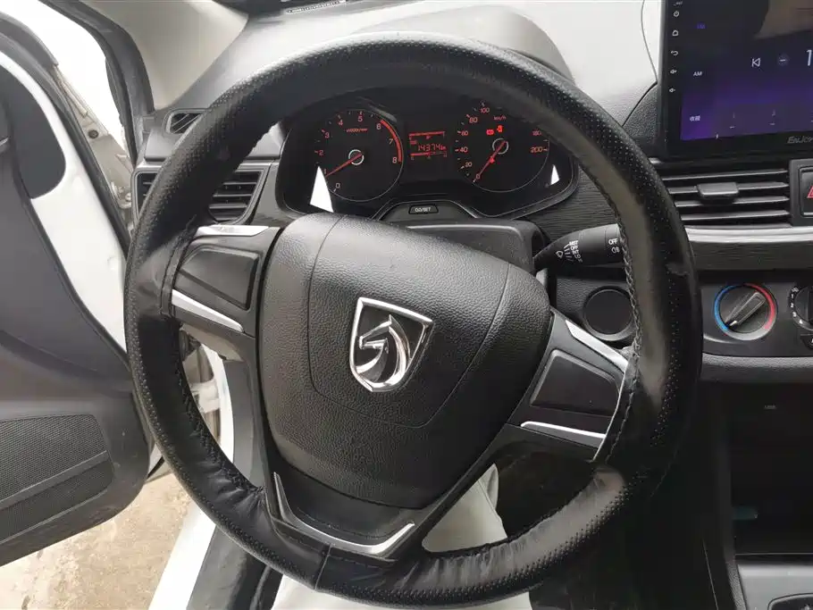 BAOJUN 310
