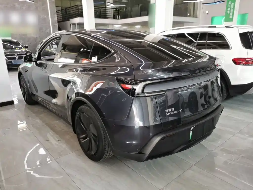 Tesla Model Y — миниатюра 5