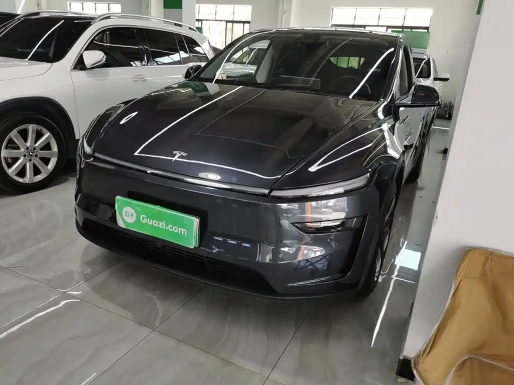 Tesla Model Y — миниатюра 2