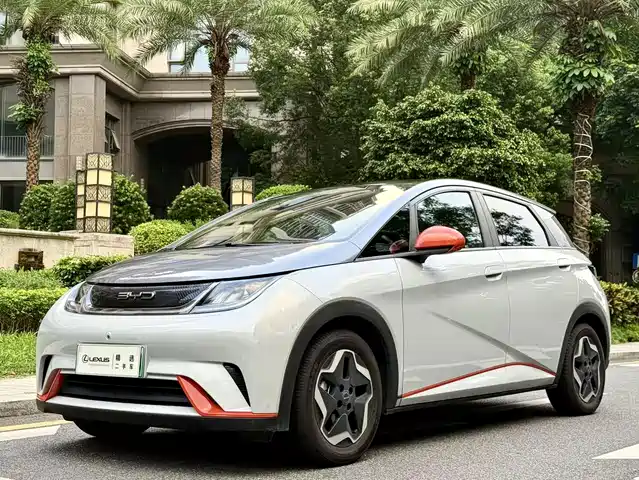 2022 BYD Dolphin