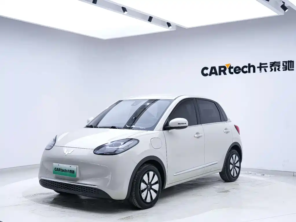 Wuling Binguo 2023 333km