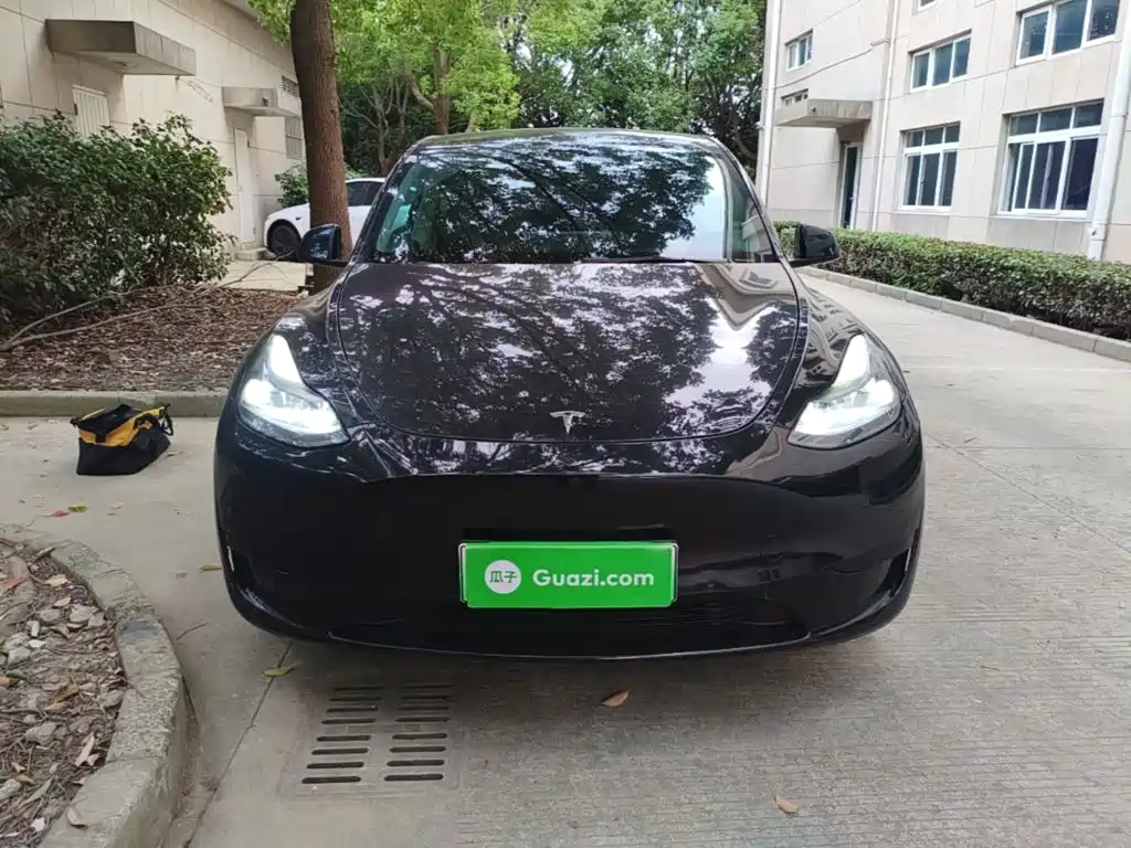 Tesla Model Y — миниатюра 3