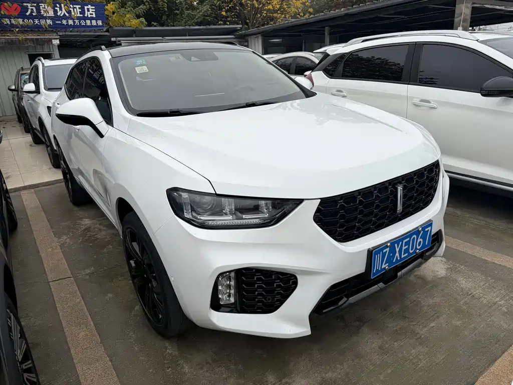 WEI PAI WEI BRAND VV5