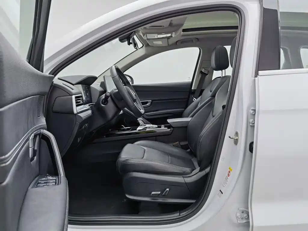 BYD Pro — миниатюра 10