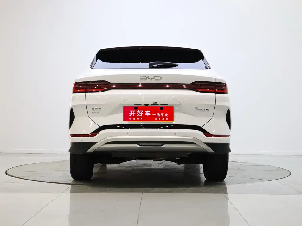 BYD SONGJIANG NEW ENERGY