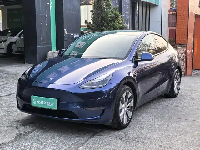TESLA MODEL Y 2021