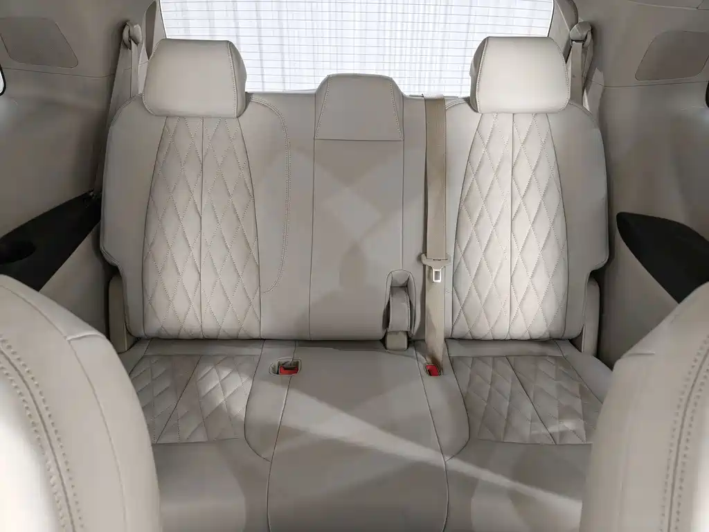 Buick GL8 — миниатюра 14