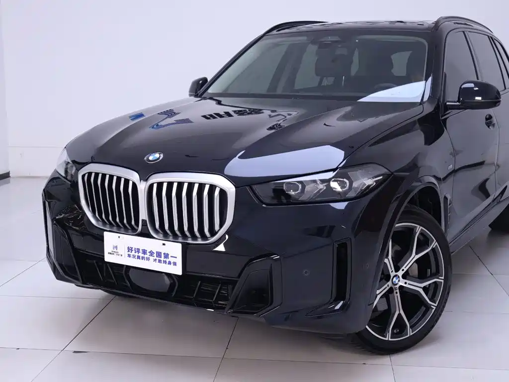 BMW X5 — миниатюра 3