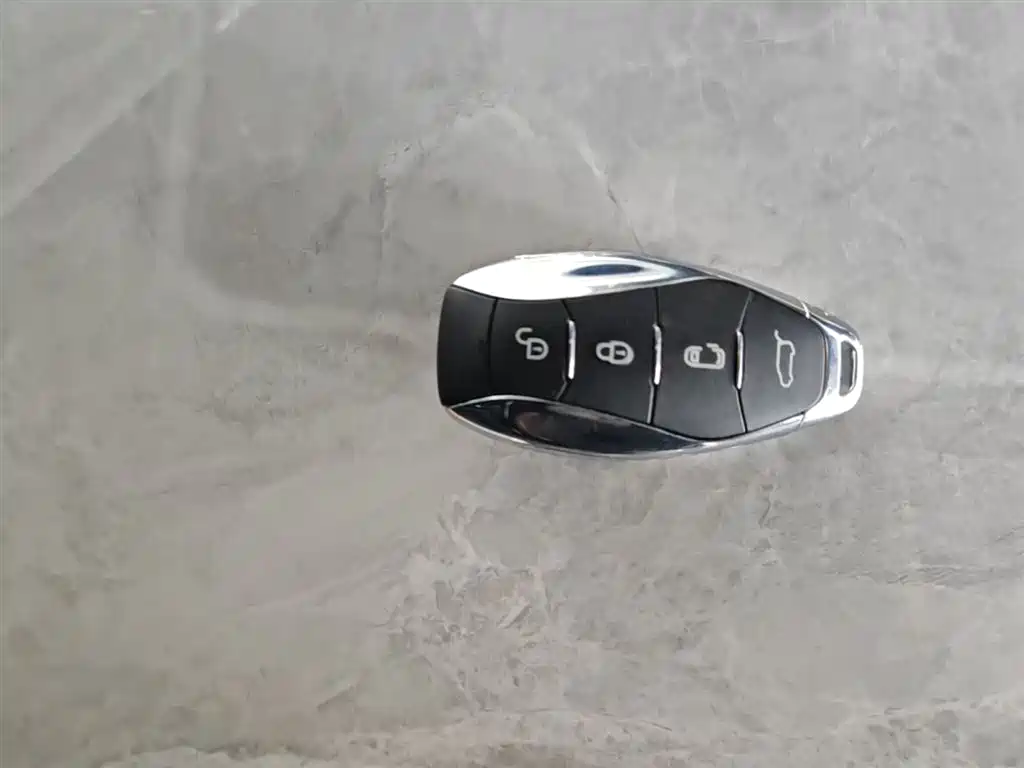 Hongqi HQ9 PHEV 2024 2.0T Luxury