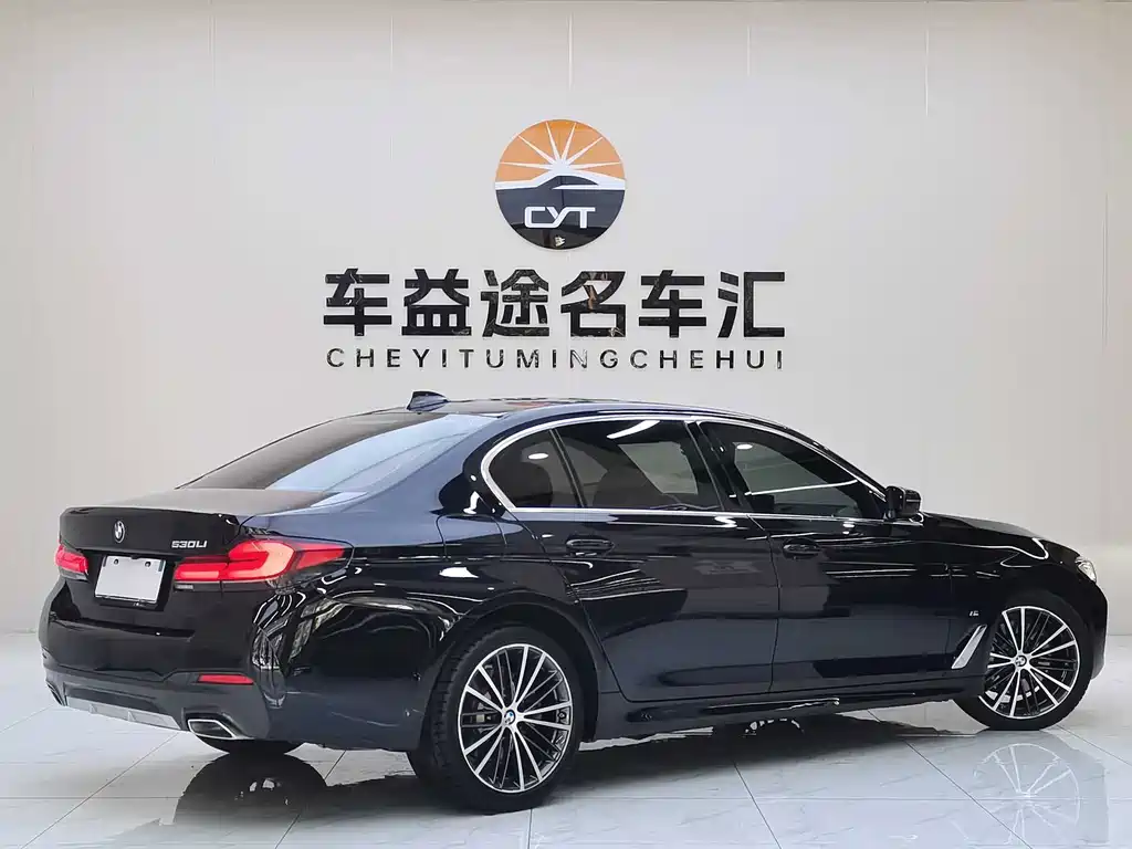 BMW 5 Series — миниатюра 6