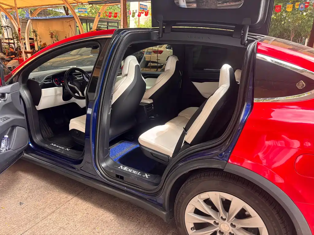Tesla Model X — миниатюра 9