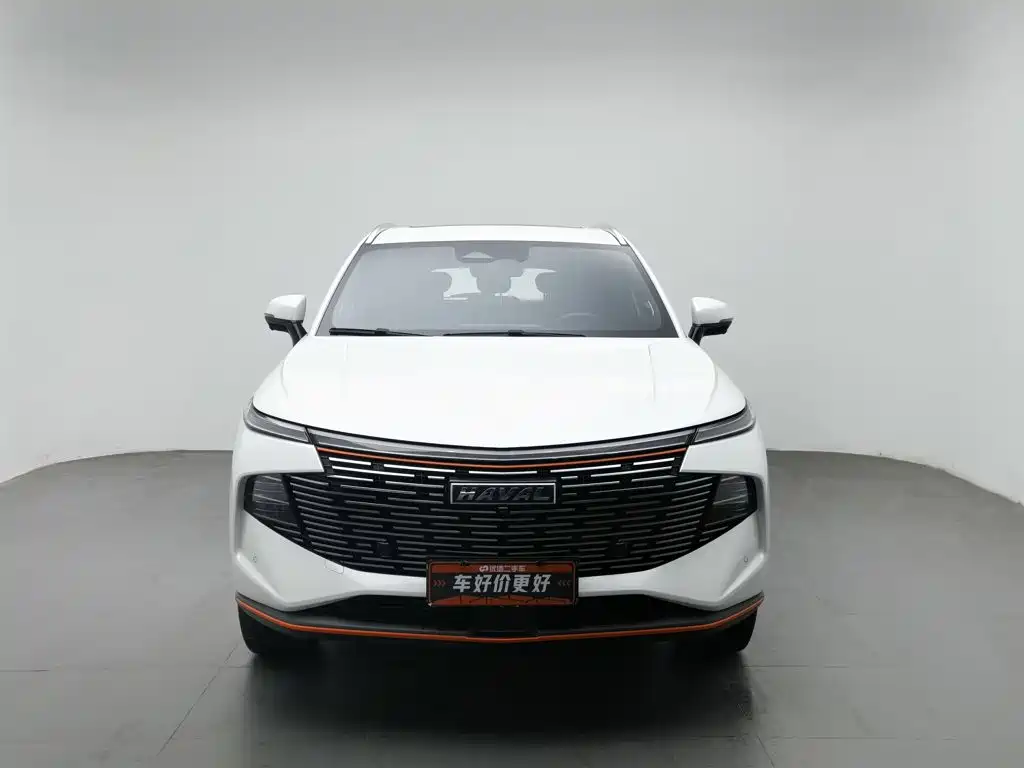 Haval Shenshou — миниатюра 3