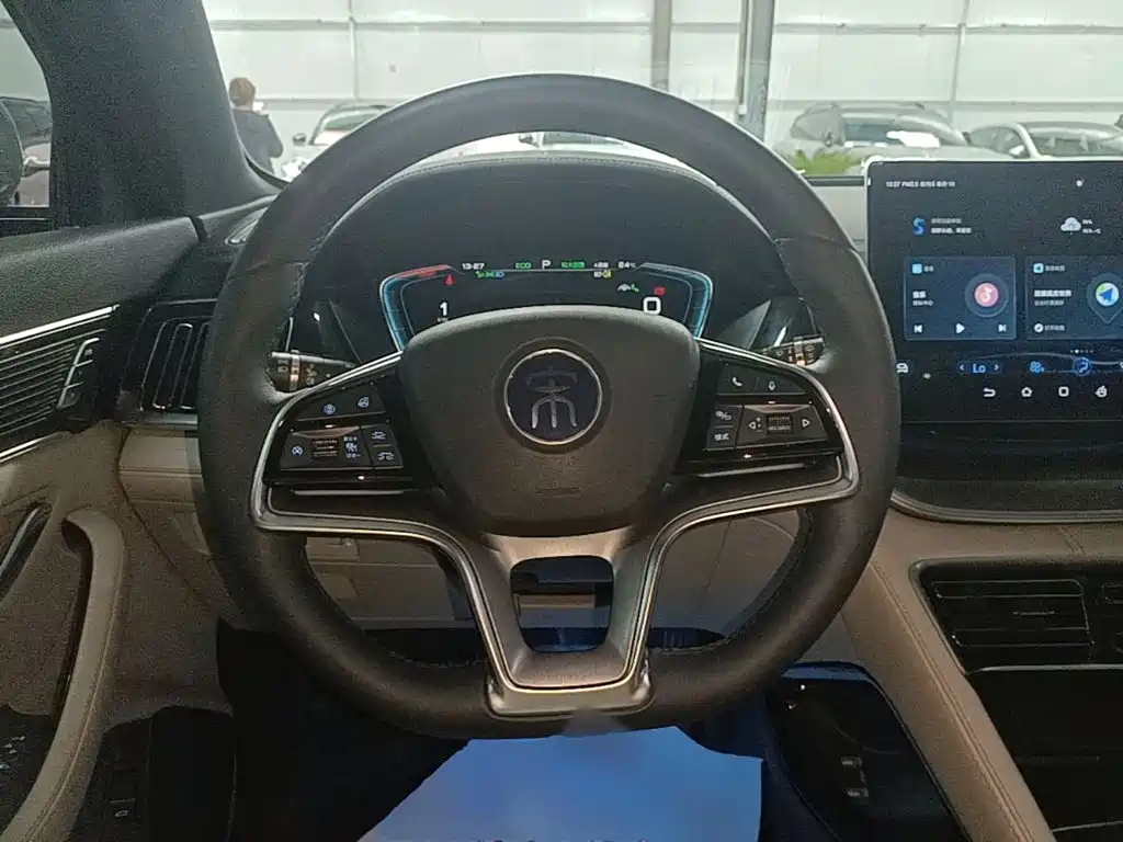 BYD PLUS New Energy — миниатюра 11