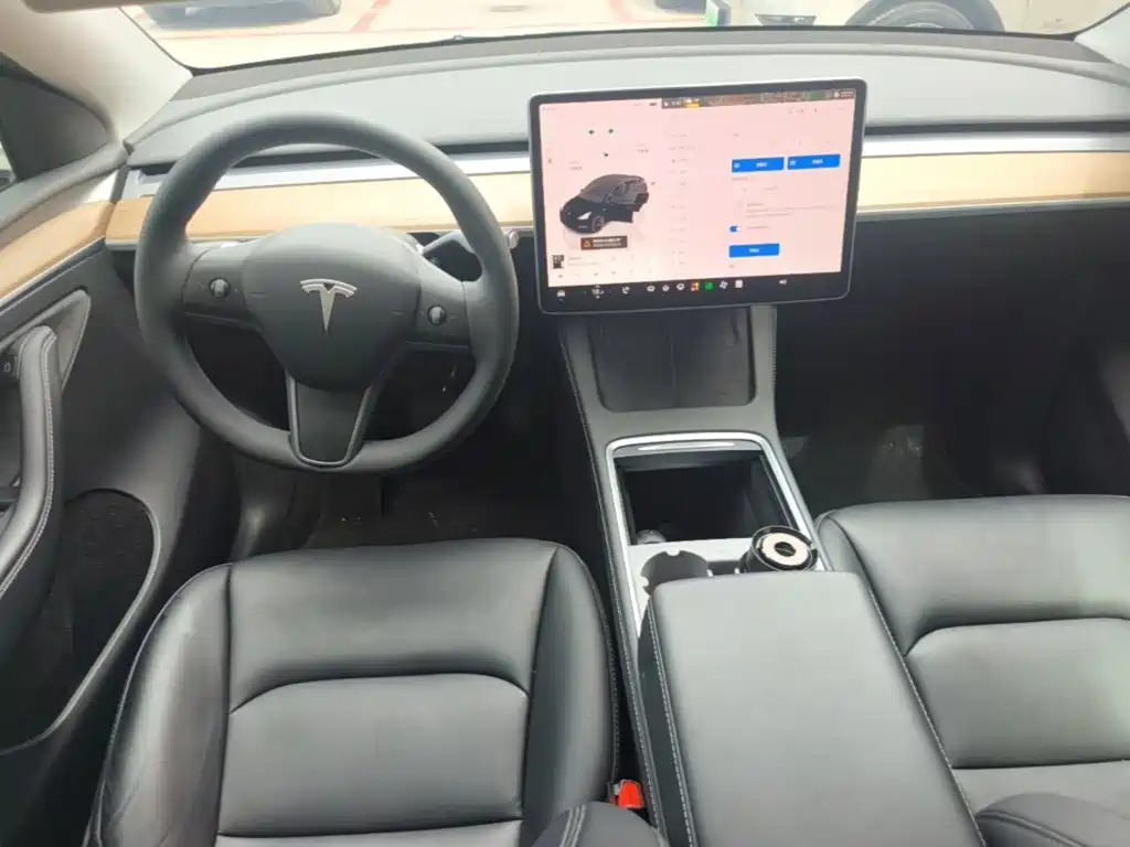 Tesla Model Y — миниатюра 10