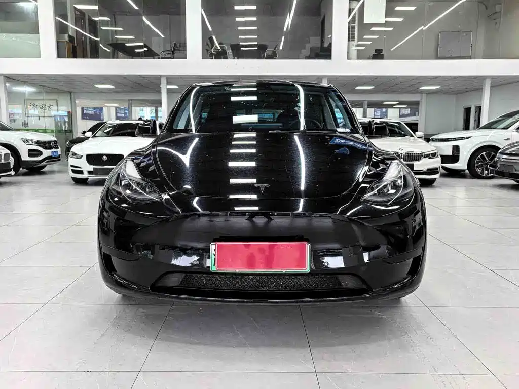Tesla Model Y — миниатюра 2