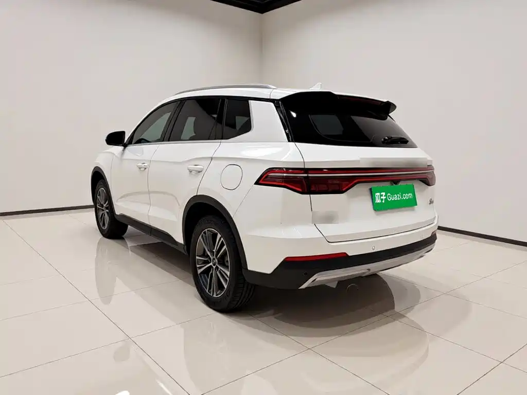 BYD Pro — миниатюра 4