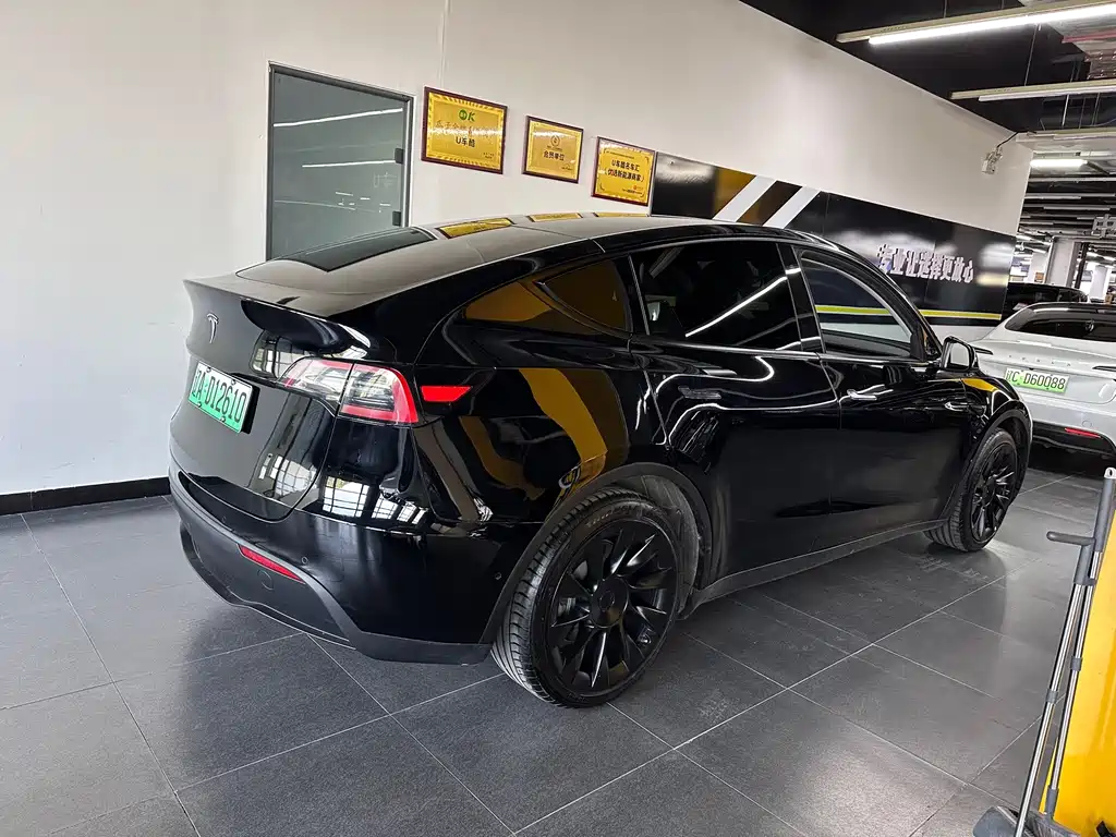 Tesla Model Y — миниатюра 5