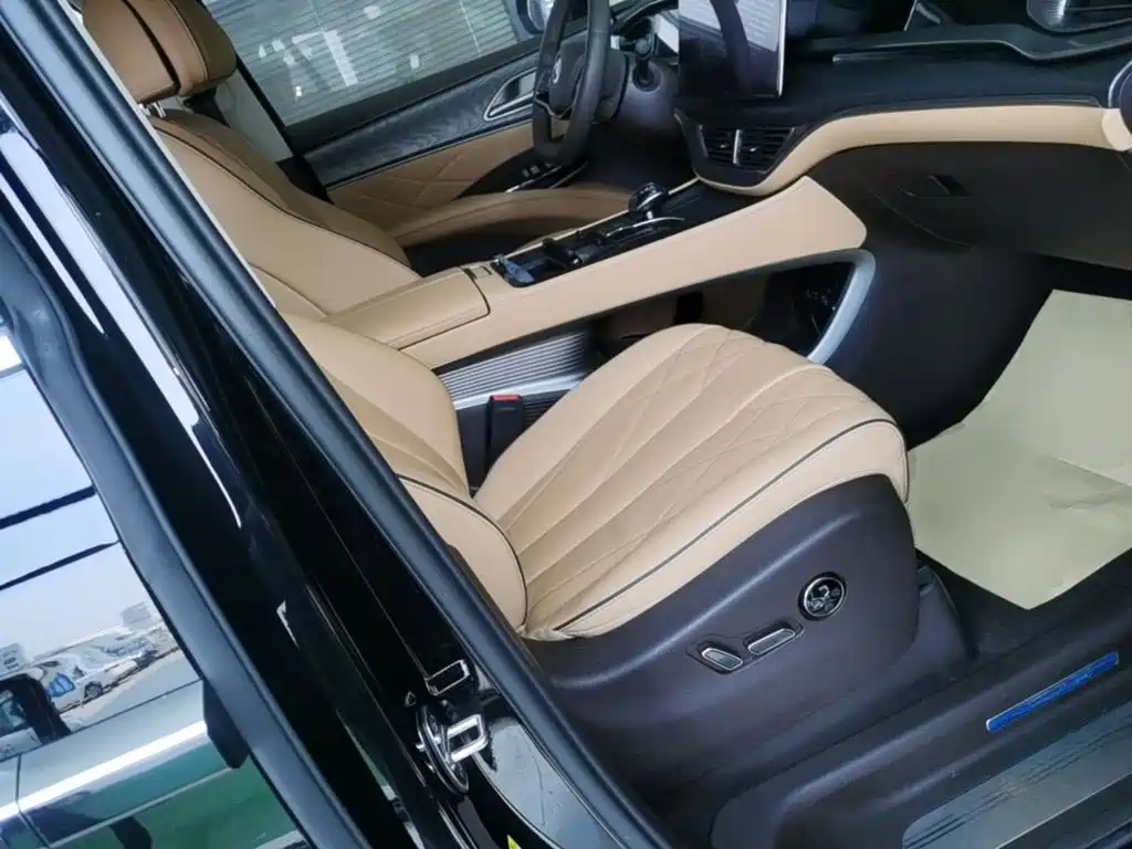 Denza Denza D9 — миниатюра 25