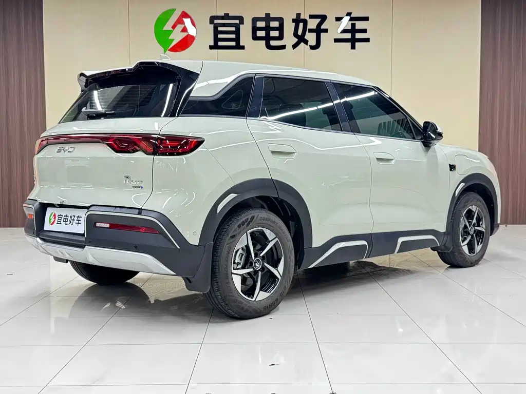 BYD Yuan Up UP 2025 Smart Drive 401KM Lead