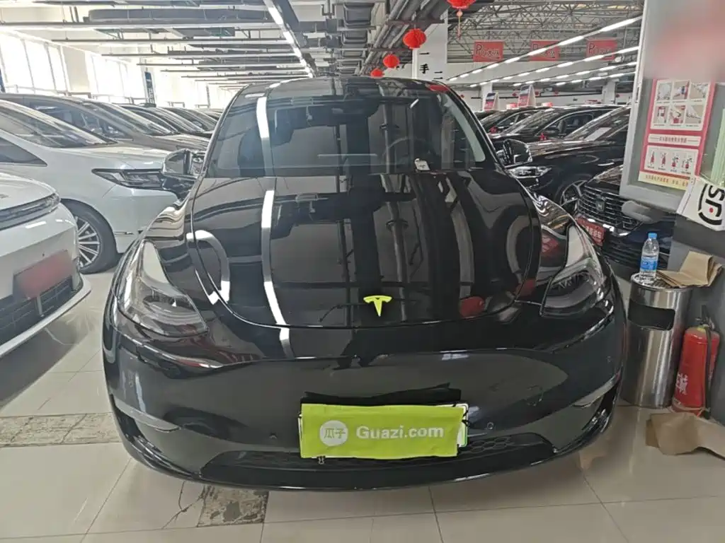 Tesla Model Y — миниатюра 3