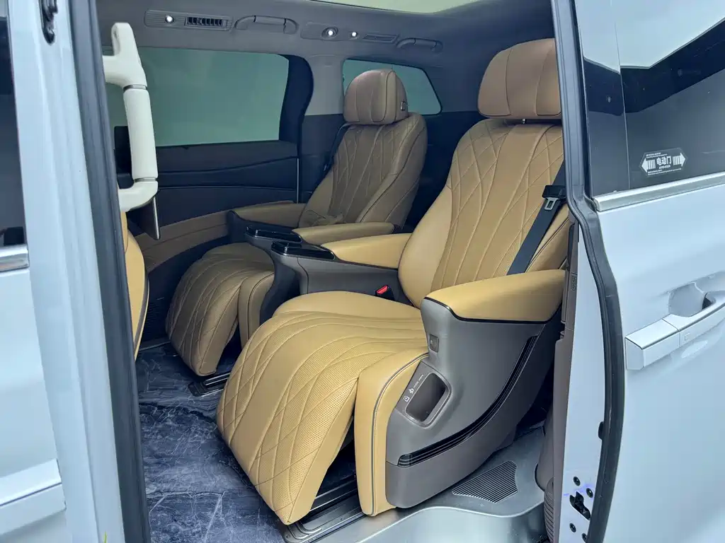 Denza Denza D9 — миниатюра 9