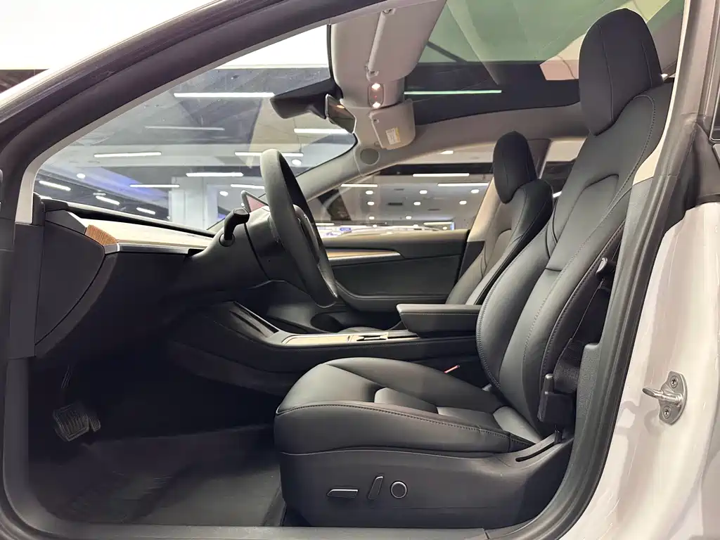 Tesla Model 3 — миниатюра 13