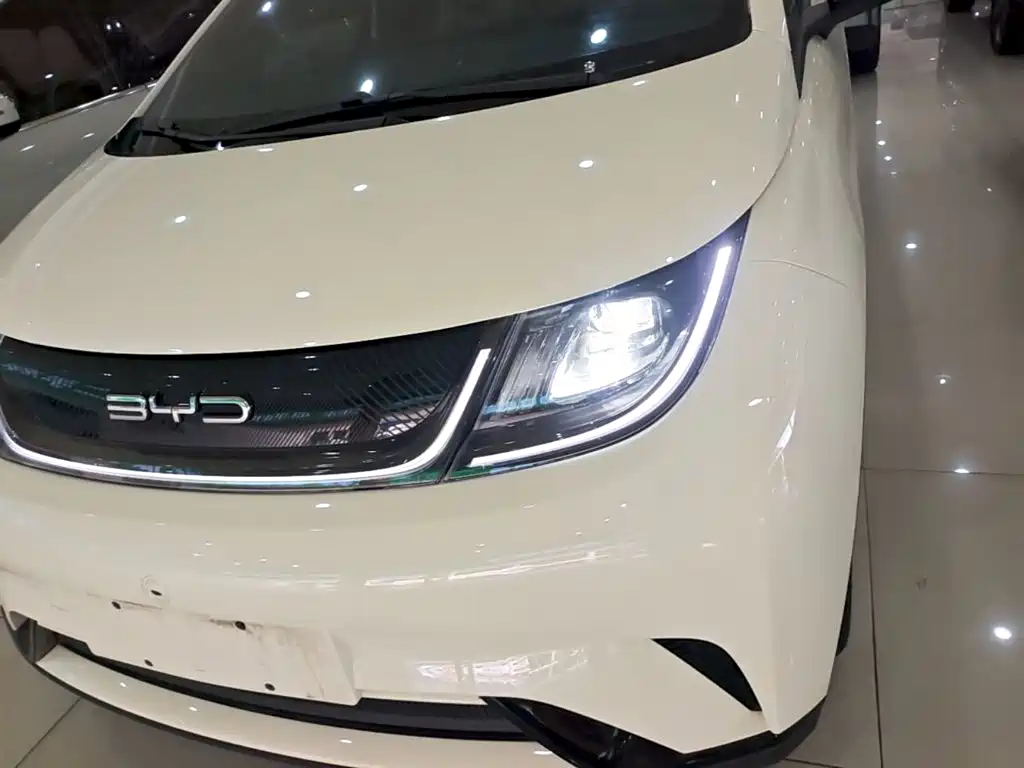BYD Dolphin — миниатюра 24