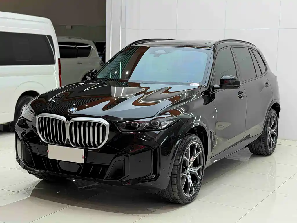 BMW X5 — миниатюра 2