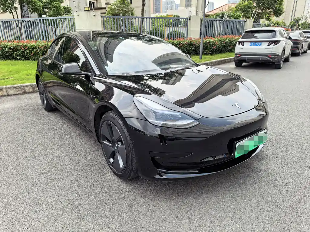 Tesla Model 3 — миниатюра 3