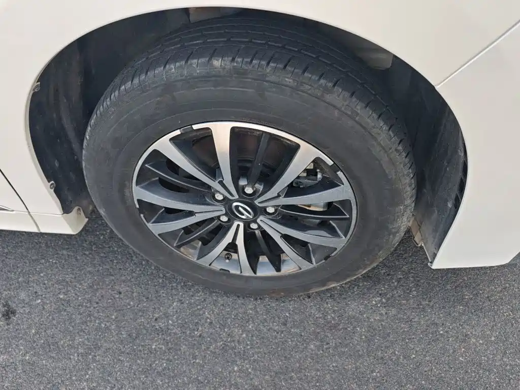 GAC Motor Trumpchi M8 — миниатюра 24