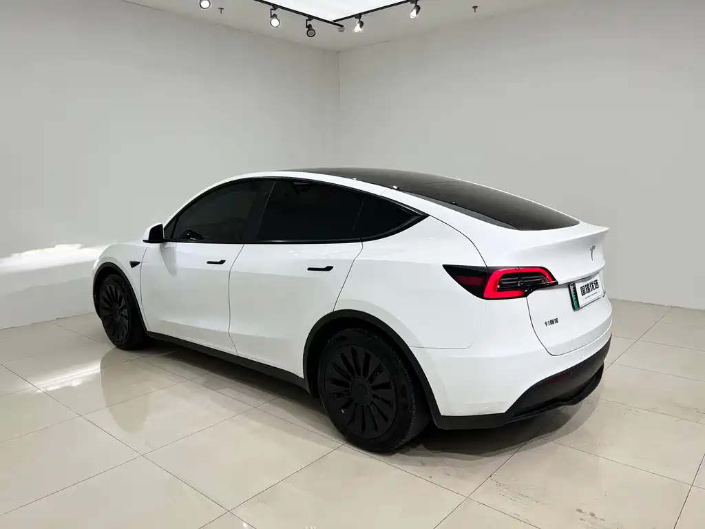 Tesla Model Y — миниатюра 4