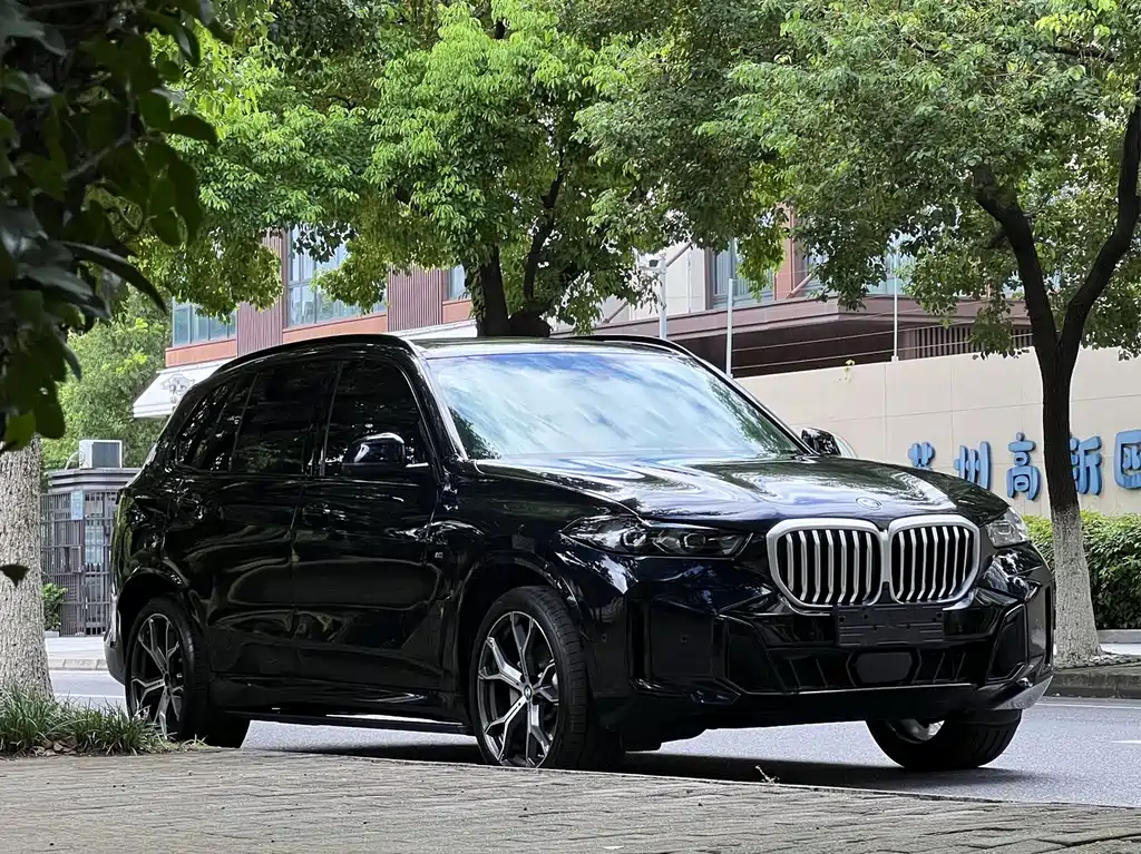 BMW X5 — миниатюра 3