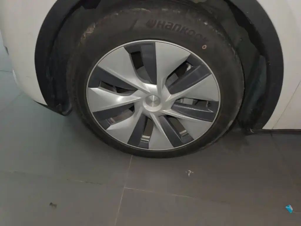 Tesla Model Y — миниатюра 23