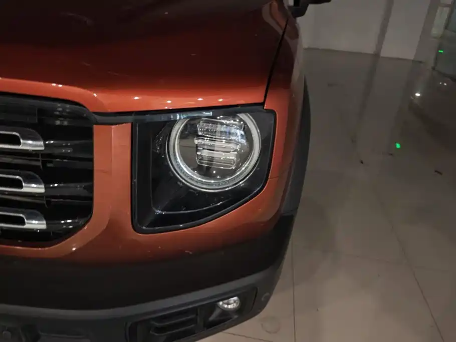 Haval Big Dog — миниатюра 5