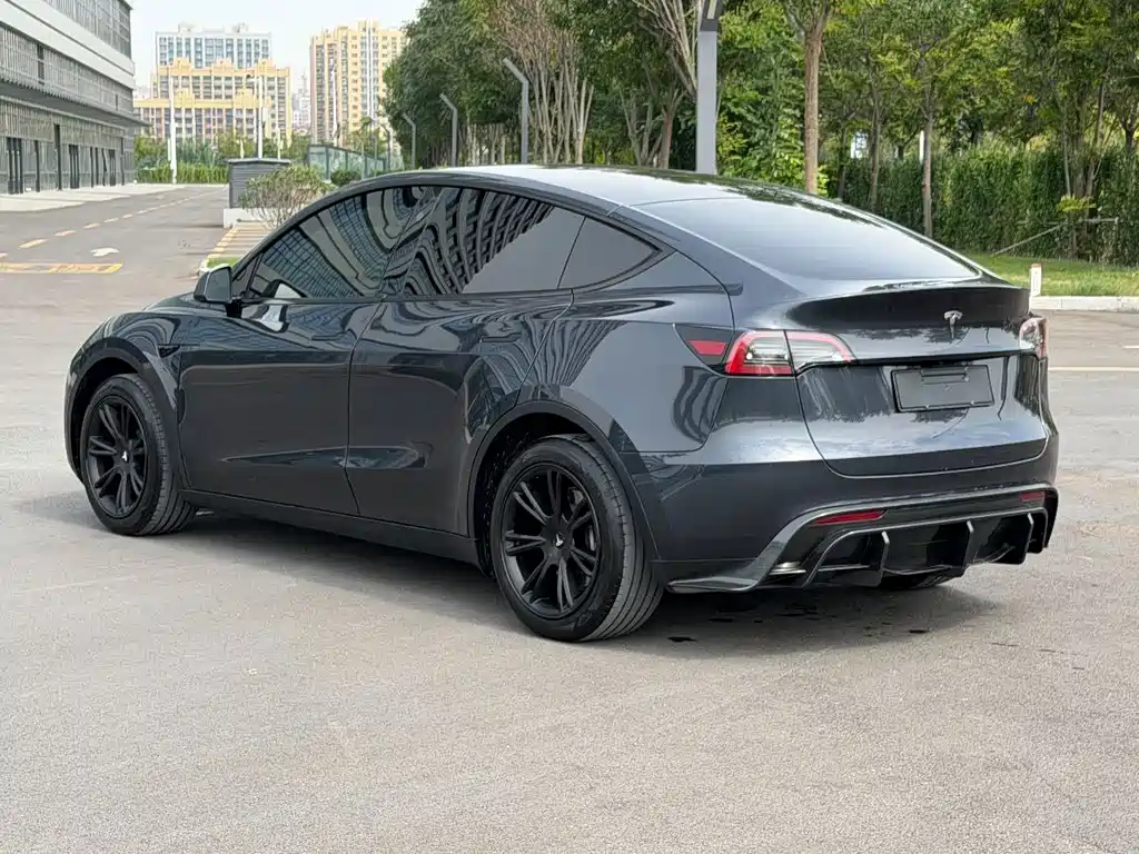 Tesla Model Y — миниатюра 4