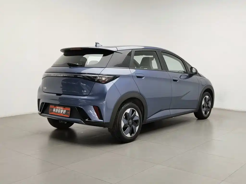 BYD Dolphin — миниатюра 2